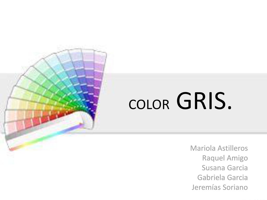 COLOR GRIS. Mariola Astilleros Raquel Amigo Susana Garcia