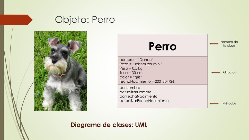 Perro Objeto: Perro Diagrama de clases: UML nombre = Danco