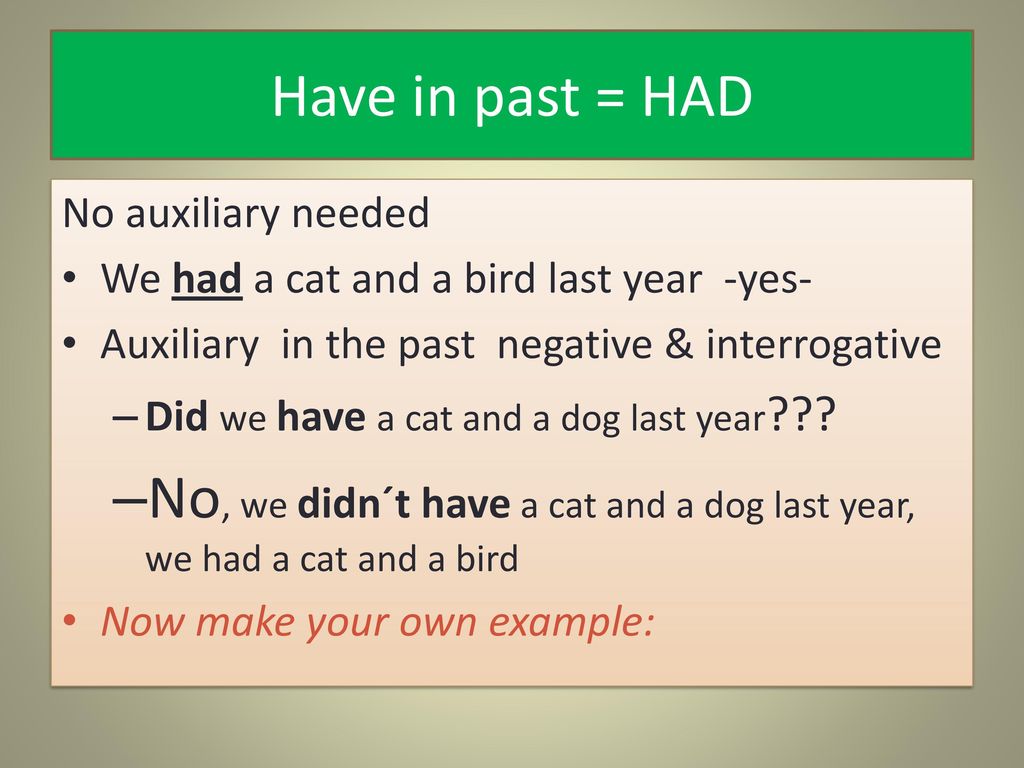 No, we didn´t have a cat and a dog last year, we had a cat and a bird