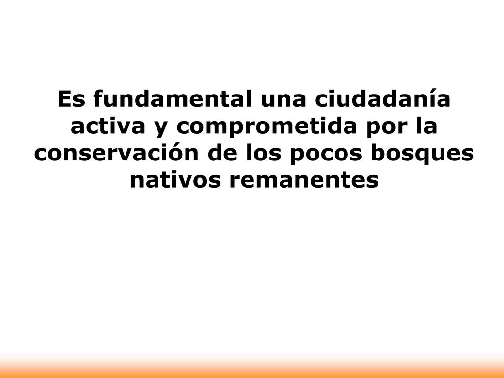 Es fundamental una ciudadanía activa y comprometida por la conservación de los pocos bosques nativos remanentes