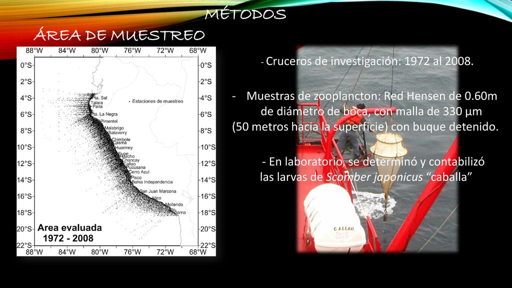 MÉTODOS ÁREA DE MUESTREO Muestras de zooplancton: Red Hensen de 0.60m
