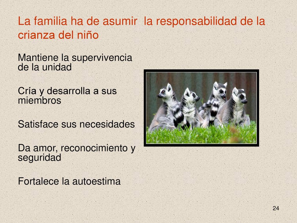 La familia ha de asumir la responsabilidad de la crianza del niño