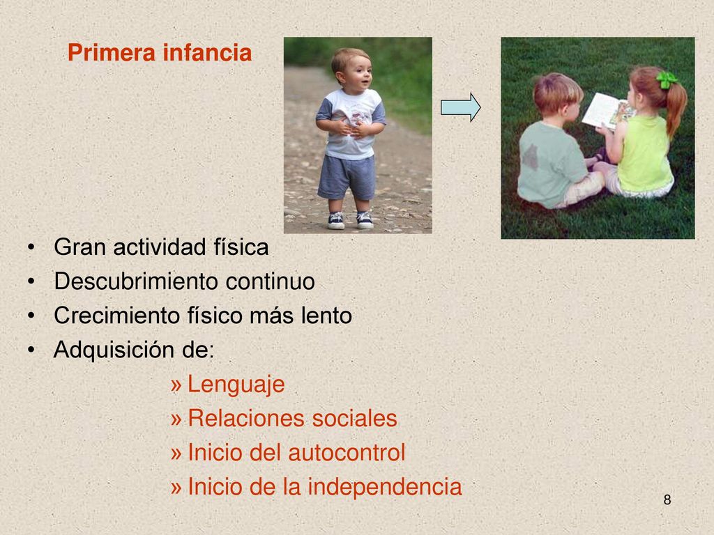 Primera infancia Gran actividad física. Descubrimiento continuo. Crecimiento físico más lento. Adquisición de: