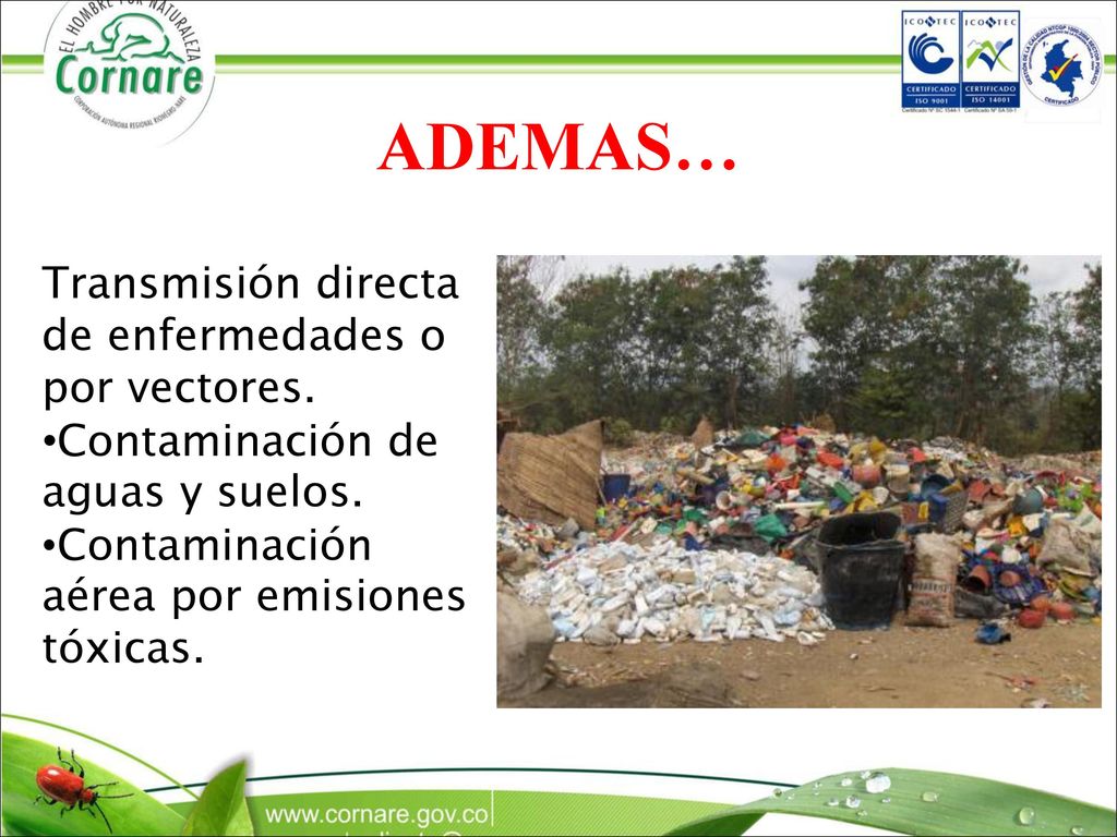 ADEMAS… Transmisión directa de enfermedades o por vectores.