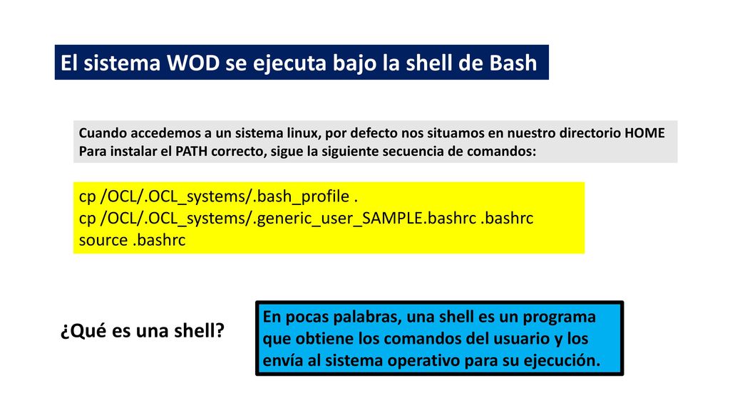 El sistema WOD se ejecuta bajo la shell de Bash