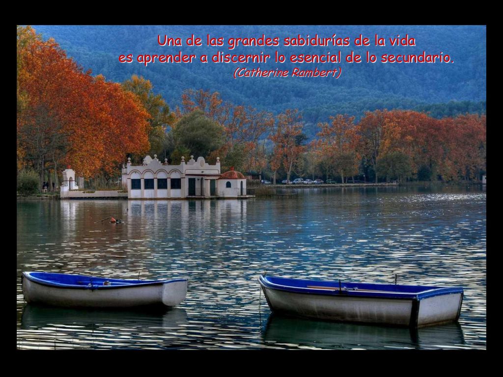 Una de las grandes sabidurías de la vida es aprender a discernir lo esencial de lo secundario.