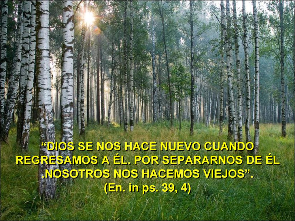 DIOS SE NOS HACE NUEVO CUANDO REGRESAMOS A ÉL. POR SEPARARNOS DE ÉL