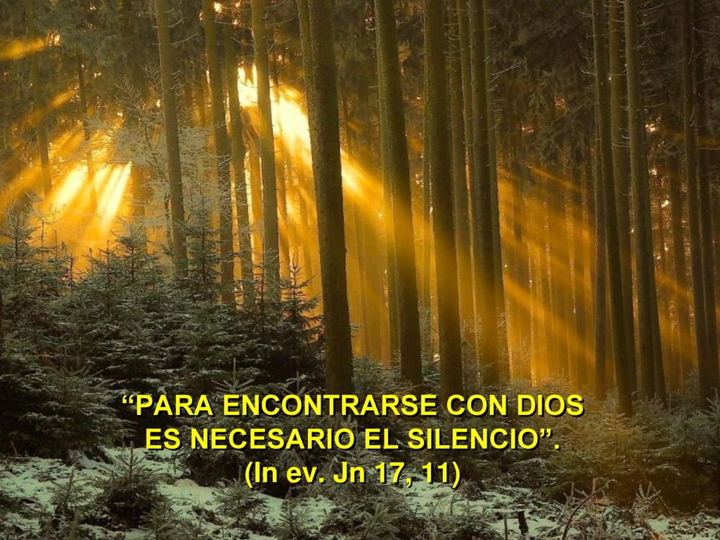 PARA ENCONTRARSE CON DIOS ES NECESARIO EL SILENCIO . (In ev