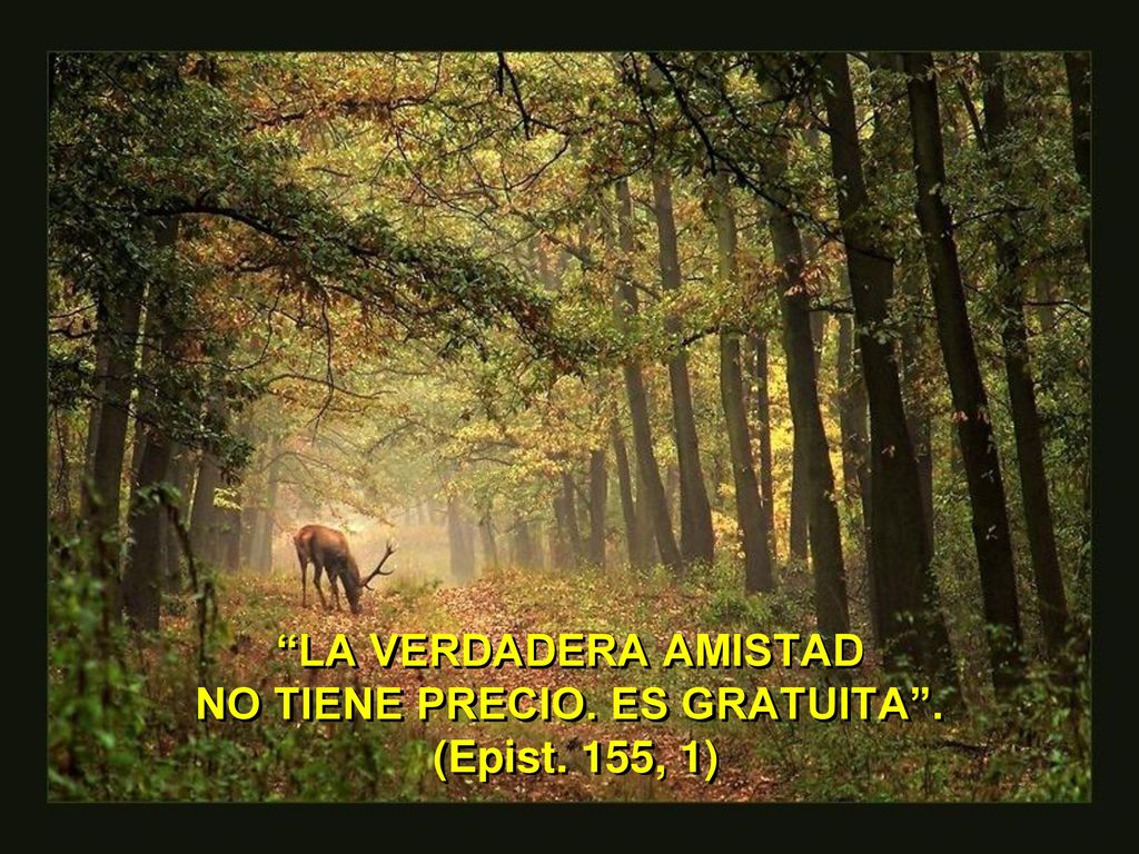 LA VERDADERA AMISTAD NO TIENE PRECIO. ES GRATUITA . (Epist. 155, 1)