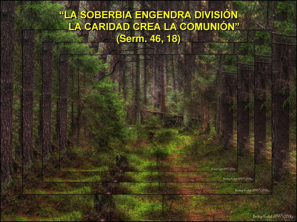LA SOBERBIA ENGENDRA DIVISIÓN LA CARIDAD CREA LA COMUNIÓN (Serm