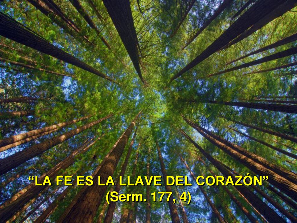 LA FE ES LA LLAVE DEL CORAZÓN (Serm. 177, 4)