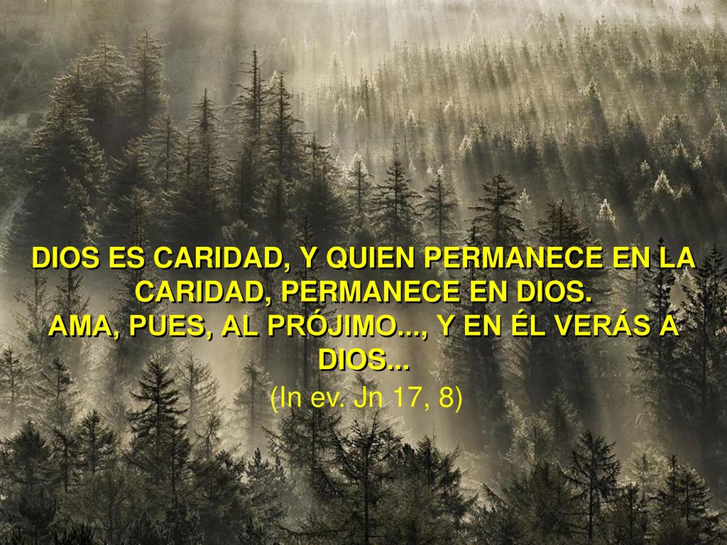 Dios es caridad, y quien permanece en la caridad, permanece en Dios