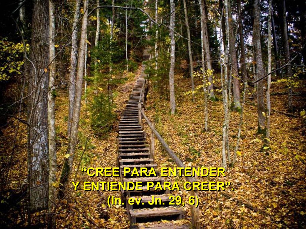 CREE PARA ENTENDER Y ENTIENDE PARA CREER . (In. ev. Jn. 29, 6)