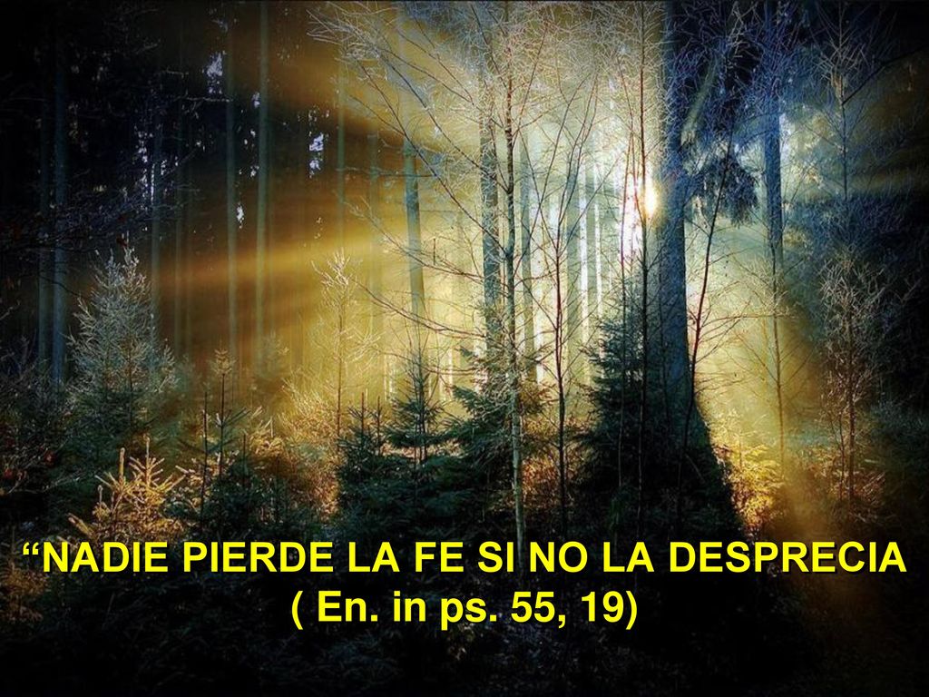 NADIE PIERDE LA FE SI NO LA DESPRECIA ( En. in ps. 55, 19)