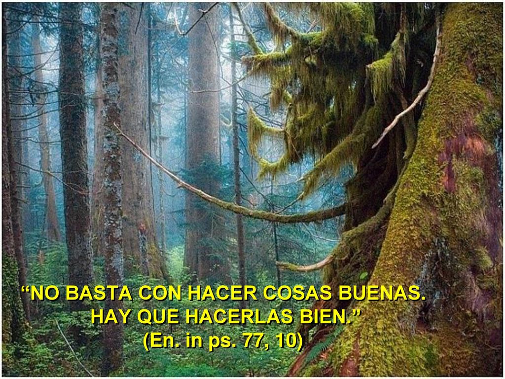 NO BASTA CON HACER COSAS BUENAS. HAY QUE HACERLAS BIEN. (En. in ps