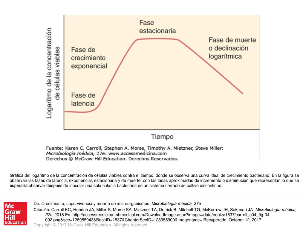 Gráfica del logaritmo de la concentración de células viables contra el tiempo, donde se observa una curva ideal de crecimiento bacteriano. En la figura se observan las fases de latencia, exponencial, estacionaria y de muerte, con las tasas aproximadas de incremento o disminución que representan lo que se esperaría observar después de inocular una sola colonia bacteriana en un sistema cerrado de cultivo discontinuo.