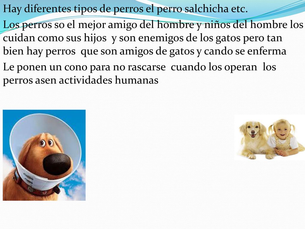 Hay diferentes tipos de perros el perro salchicha etc