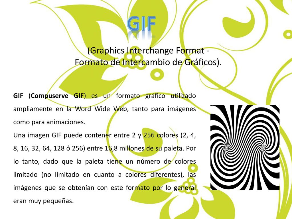(Graphics Interchange Format - Formato de Intercambio de Gráficos).