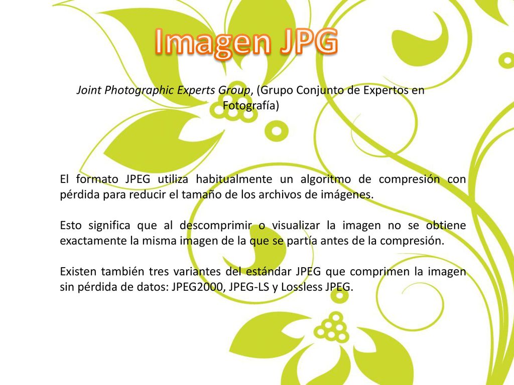 Imagen JPG Joint Photographic Experts Group, (Grupo Conjunto de Expertos en Fotografía)