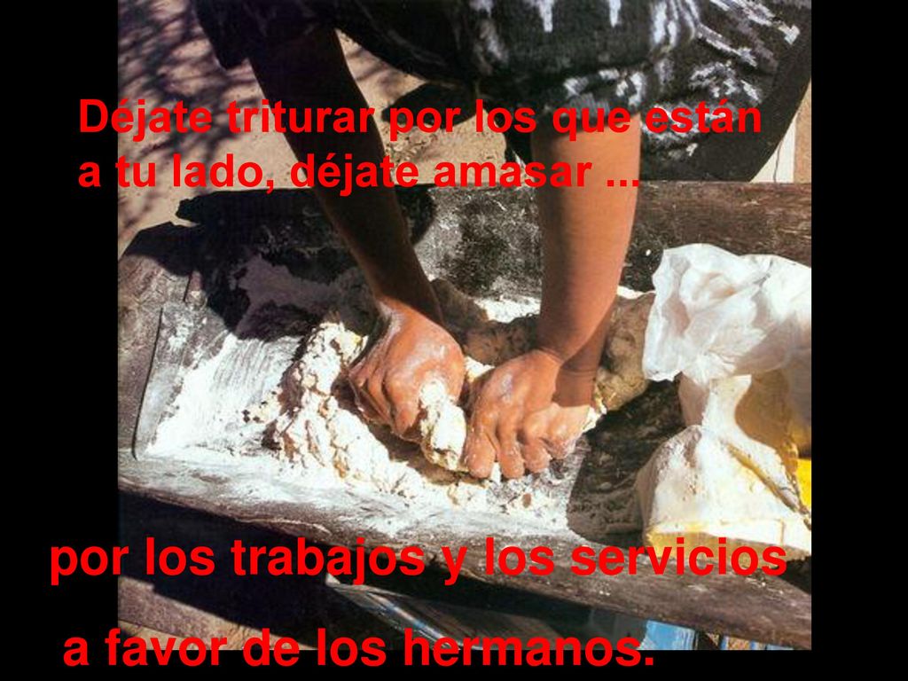 por los trabajos y los servicios a favor de los hermanos.