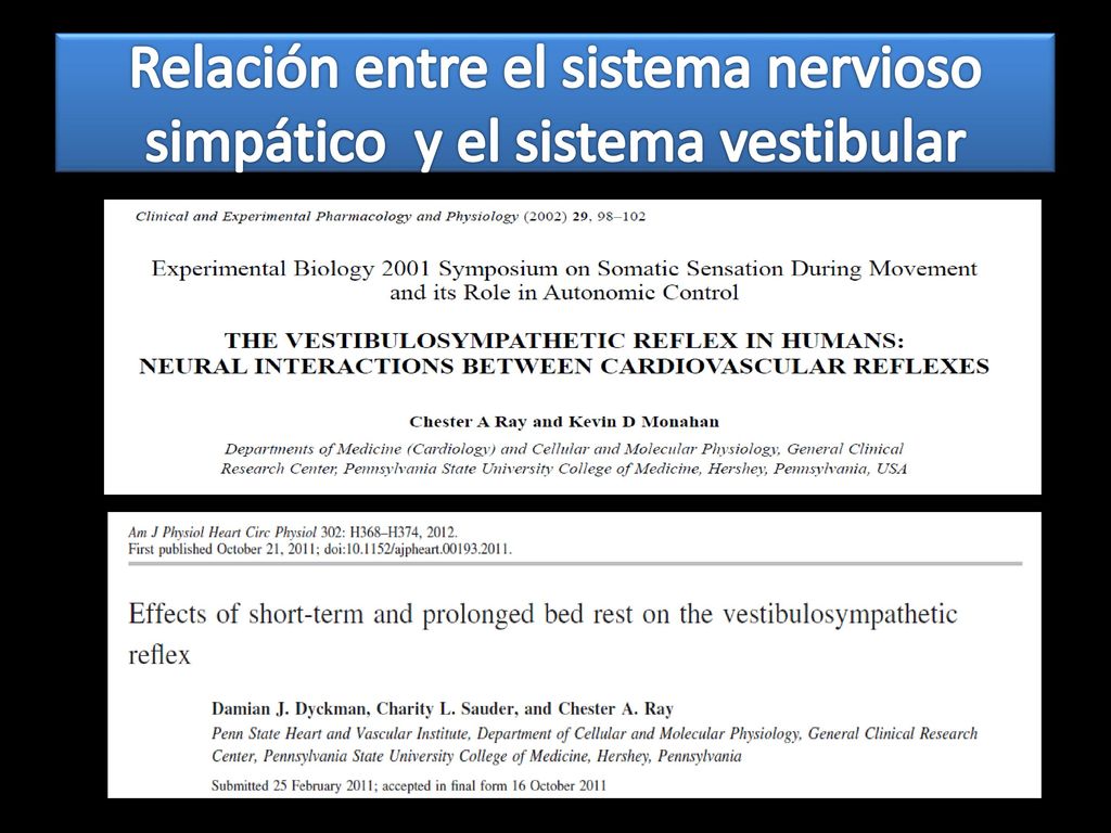 Relación entre el sistema nervioso simpático y el sistema vestibular