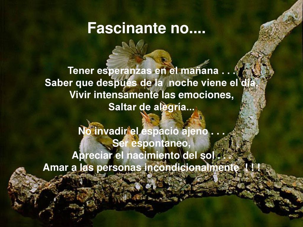 Fascinante no.... Tener esperanzas en el mañana . . .