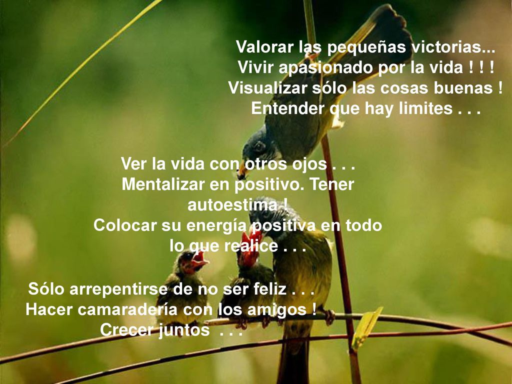 Valorar las pequeñas victorias... Vivir apasionado por la vida ! ! !