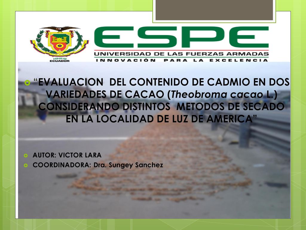 EVALUACION DEL CONTENIDO DE CADMIO EN DOS VARIEDADES DE CACAO (Theobroma cacao L.) CONSIDERANDO DISTINTOS METODOS DE SECADO EN LA LOCALIDAD DE LUZ DE AMERICA