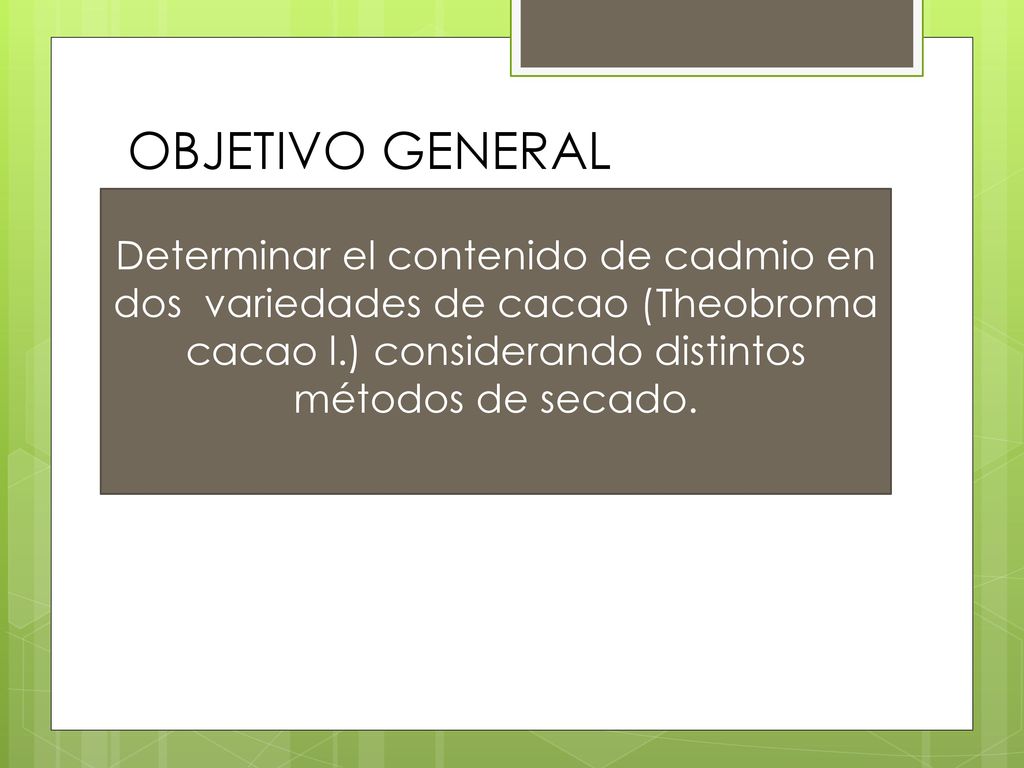 OBJETIVO GENERAL Determinar el contenido de cadmio en dos variedades de cacao (Theobroma cacao l.) considerando distintos métodos de secado.