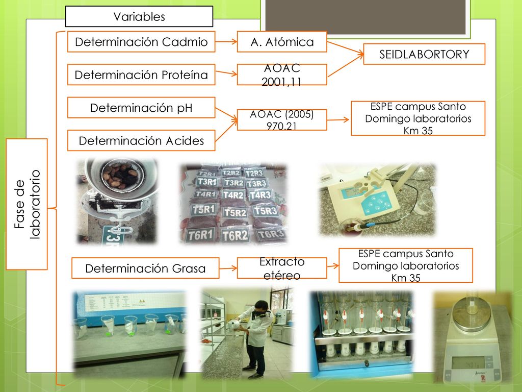 Fase de laboratorio Variables Determinación Cadmio A. Atómica
