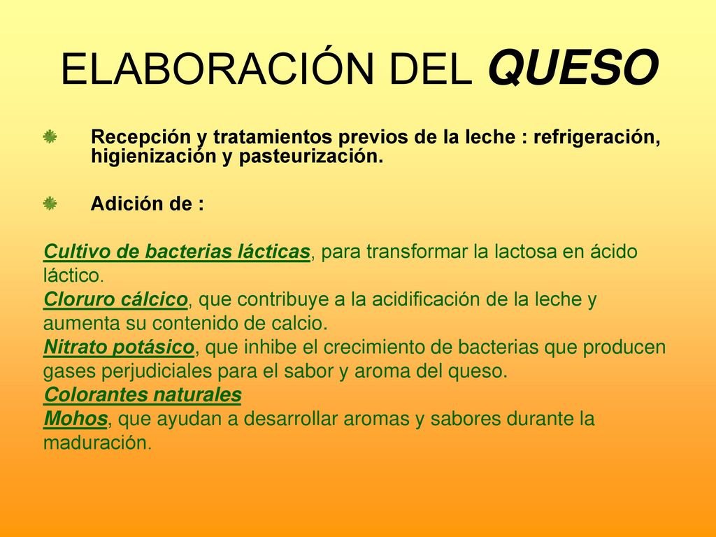 ELABORACIÓN DEL QUESO Recepción y tratamientos previos de la leche : refrigeración, higienización y pasteurización.