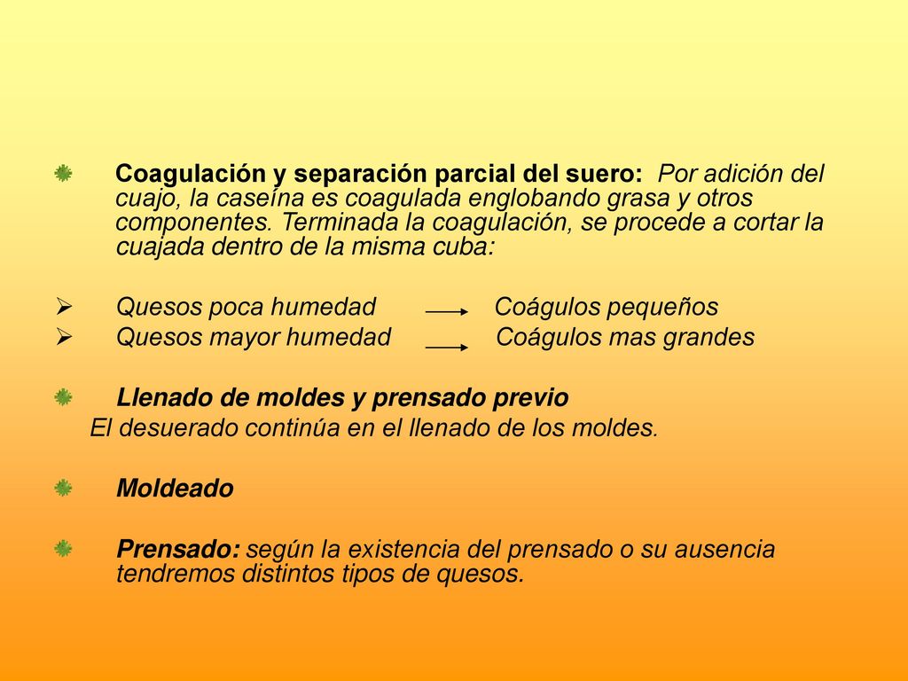 Coagulación y separación parcial del suero: Por adición del cuajo, la caseína es coagulada englobando grasa y otros componentes. Terminada la coagulación, se procede a cortar la cuajada dentro de la misma cuba: