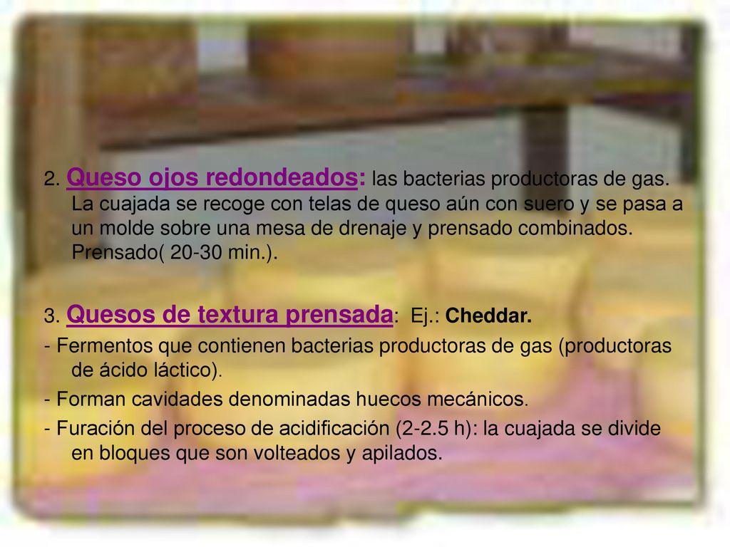 2. Queso ojos redondeados: las bacterias productoras de gas