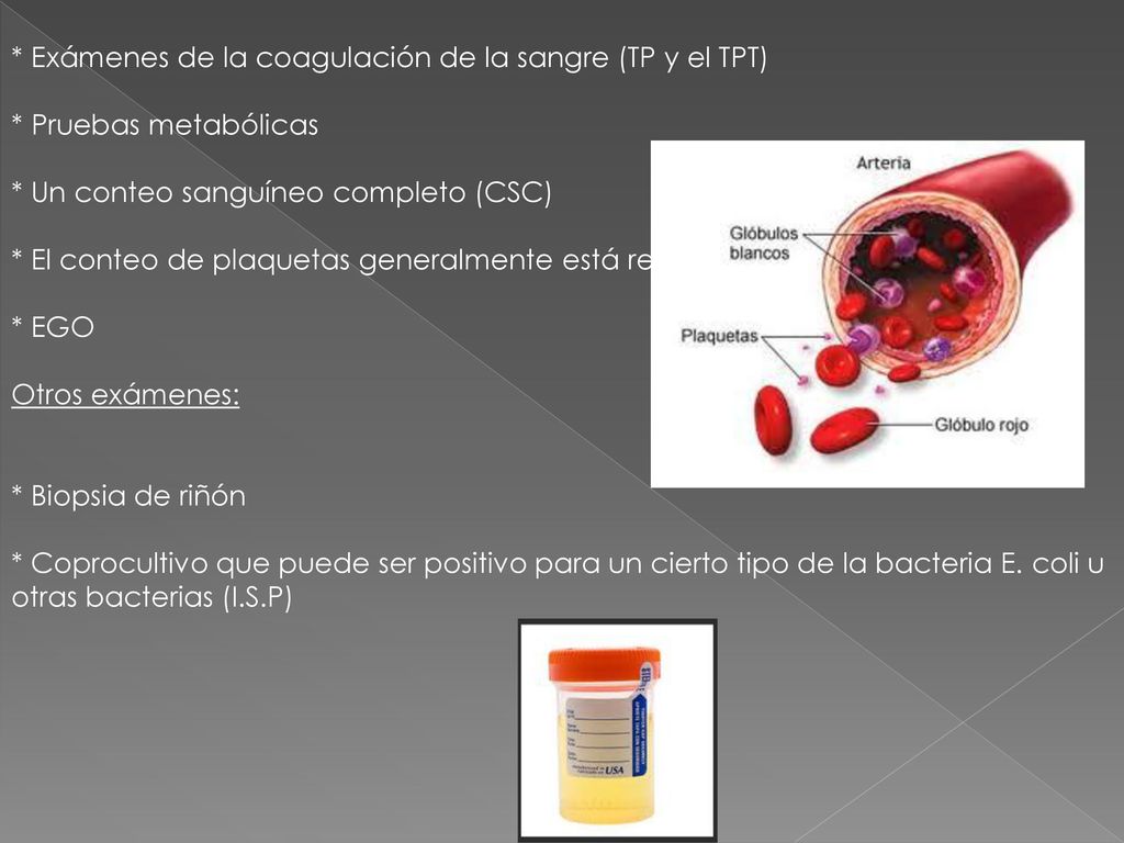 * Exámenes de la coagulación de la sangre (TP y el TPT)