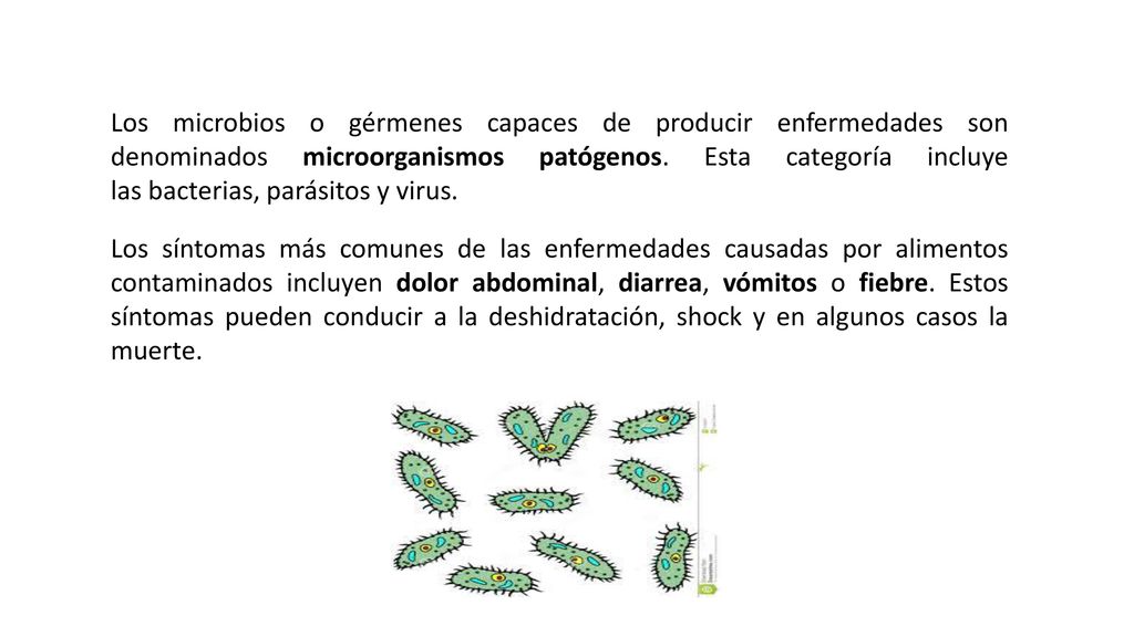 Los microbios o gérmenes capaces de producir enfermedades son denominados microorganismos patógenos. Esta categoría incluye las bacterias, parásitos y virus.