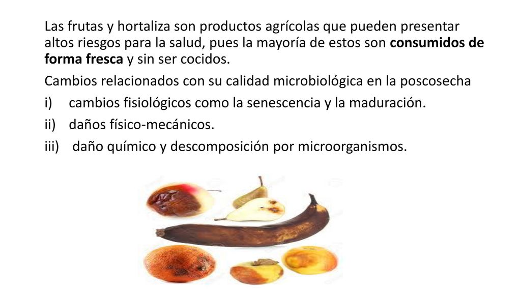 Las frutas y hortaliza son productos agrícolas que pueden presentar altos riesgos para la salud, pues la mayoría de estos son consumidos de forma fresca y sin ser cocidos.