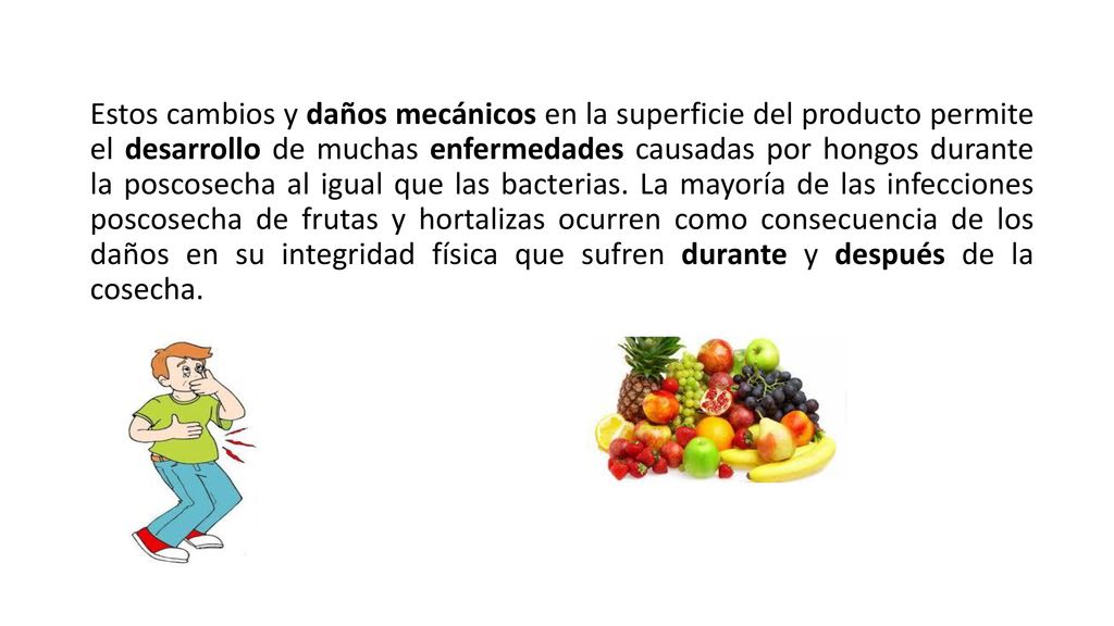 Estos cambios y daños mecánicos en la superficie del producto permite el desarrollo de muchas enfermedades causadas por hongos durante la poscosecha al igual que las bacterias.
