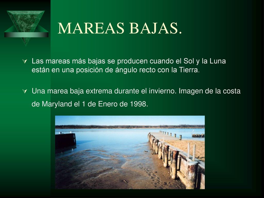 MAREAS BAJAS. Las mareas más bajas se producen cuando el Sol y la Luna están en una posición de ángulo recto con la Tierra.