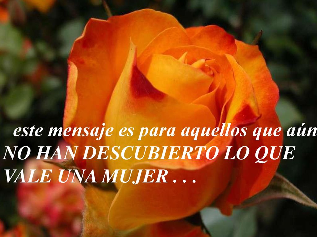este mensaje es para aquellos que aún NO HAN DESCUBIERTO LO QUE VALE UNA MUJER . . .