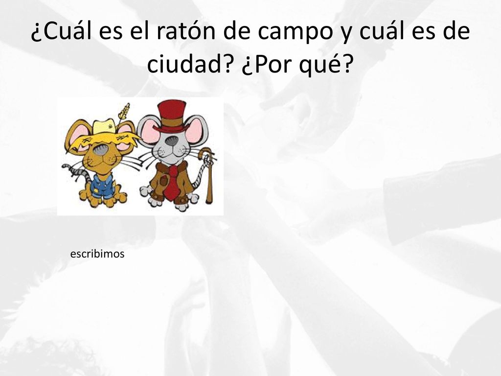 ¿Cuál es el ratón de campo y cuál es de ciudad ¿Por qué