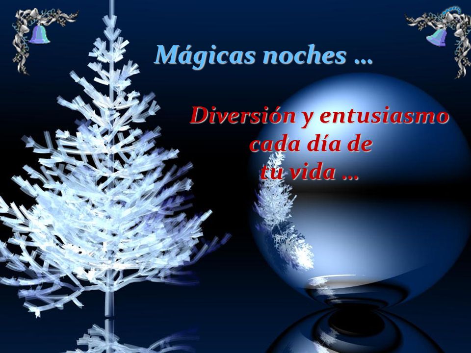 Mágicas noches … Diversión y entusiasmo cada día de tu vida …