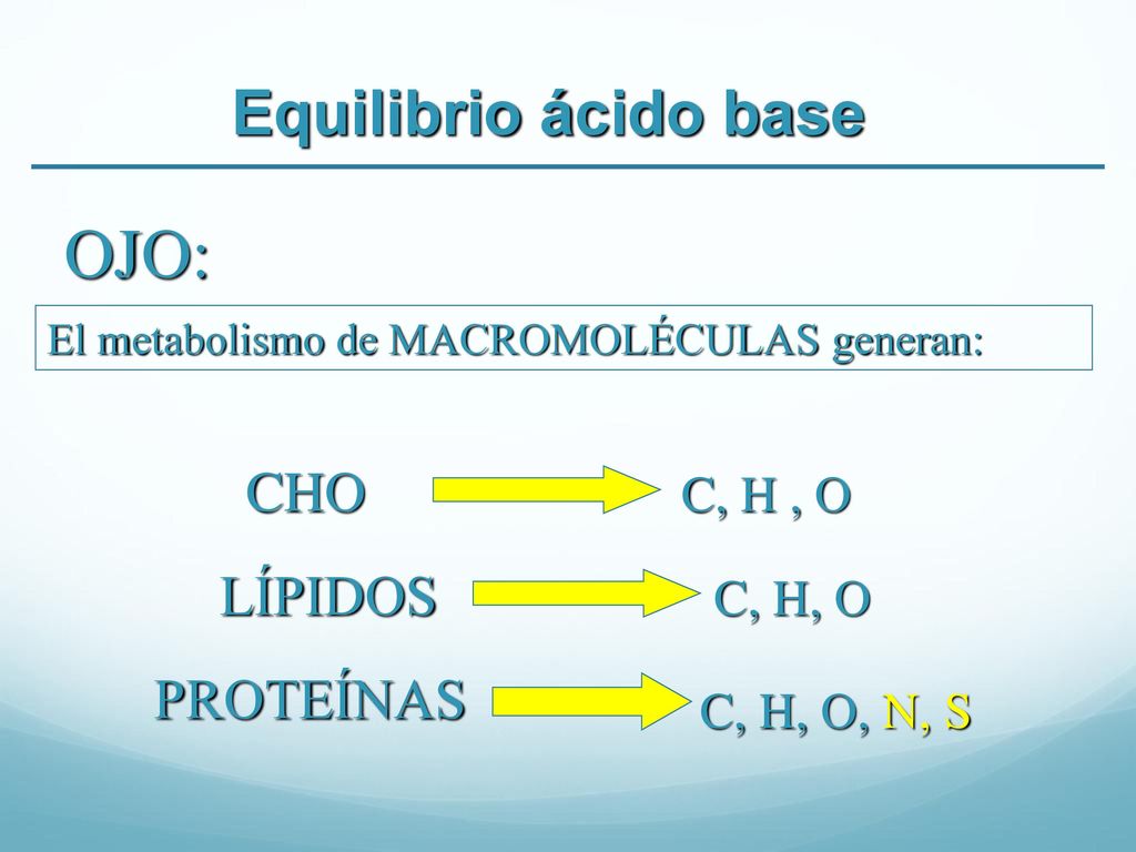 OJO: Equilibrio ácido base CHO LÍPIDOS PROTEÍNAS C, H , O C, H, O