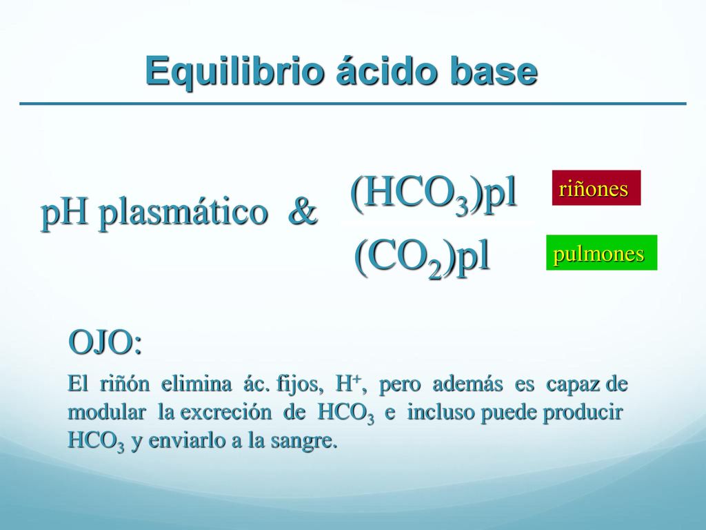 (HCO3)pl (CO2)pl Equilibrio ácido base pH plasmático & OJO: riñones