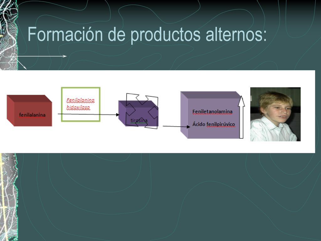 Formación de productos alternos: