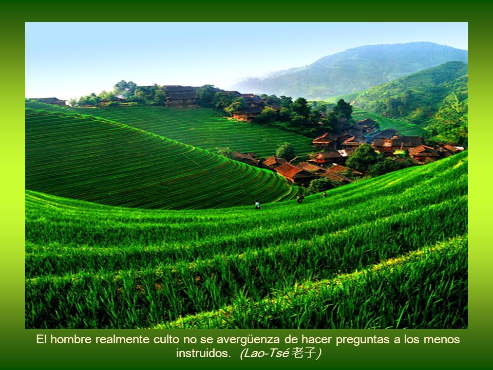 El hombre realmente culto no se avergüenza de hacer preguntas a los menos instruidos. (Lao-Tsé 老子)‏