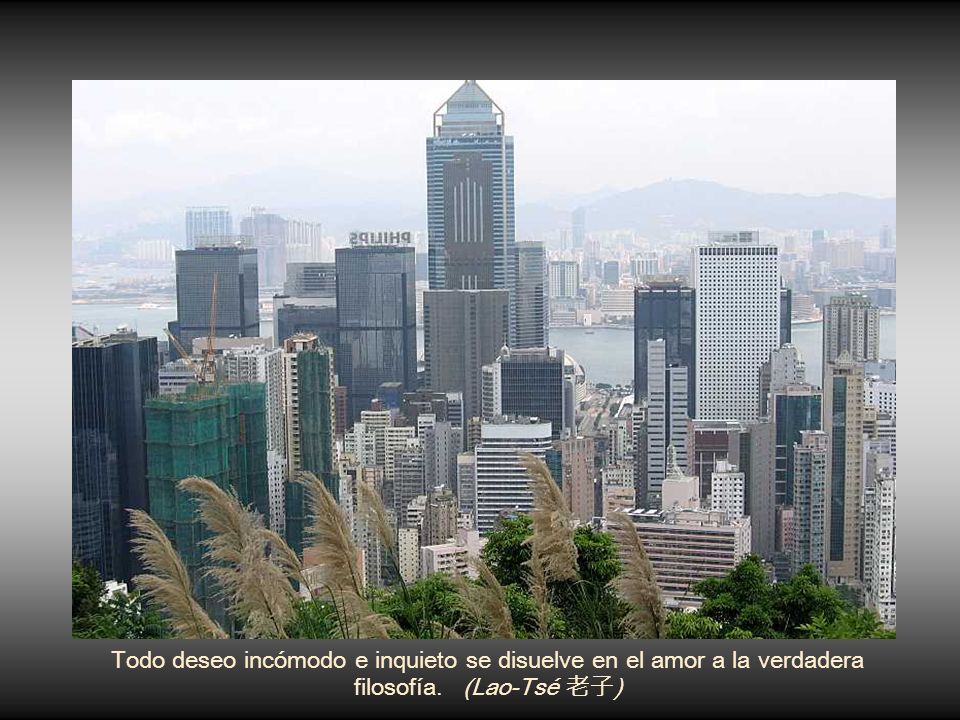 Todo deseo incómodo e inquieto se disuelve en el amor a la verdadera filosofía. (Lao-Tsé 老子)