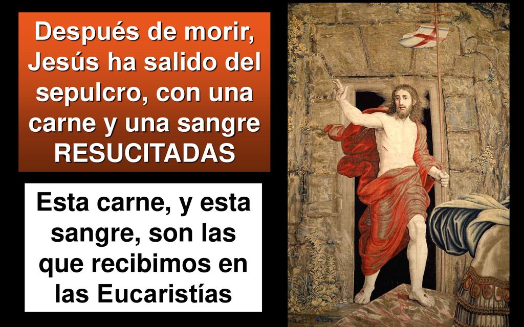 Esta carne, y esta sangre, son las que recibimos en las Eucaristías