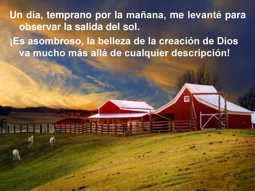 Un día, temprano por la mañana, me levanté para observar la salida del sol.