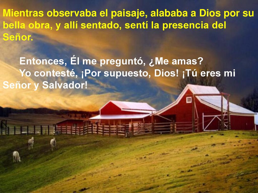 Mientras observaba el paisaje, alababa a Dios por su bella obra, y allí sentado, sentí la presencia del Señor.