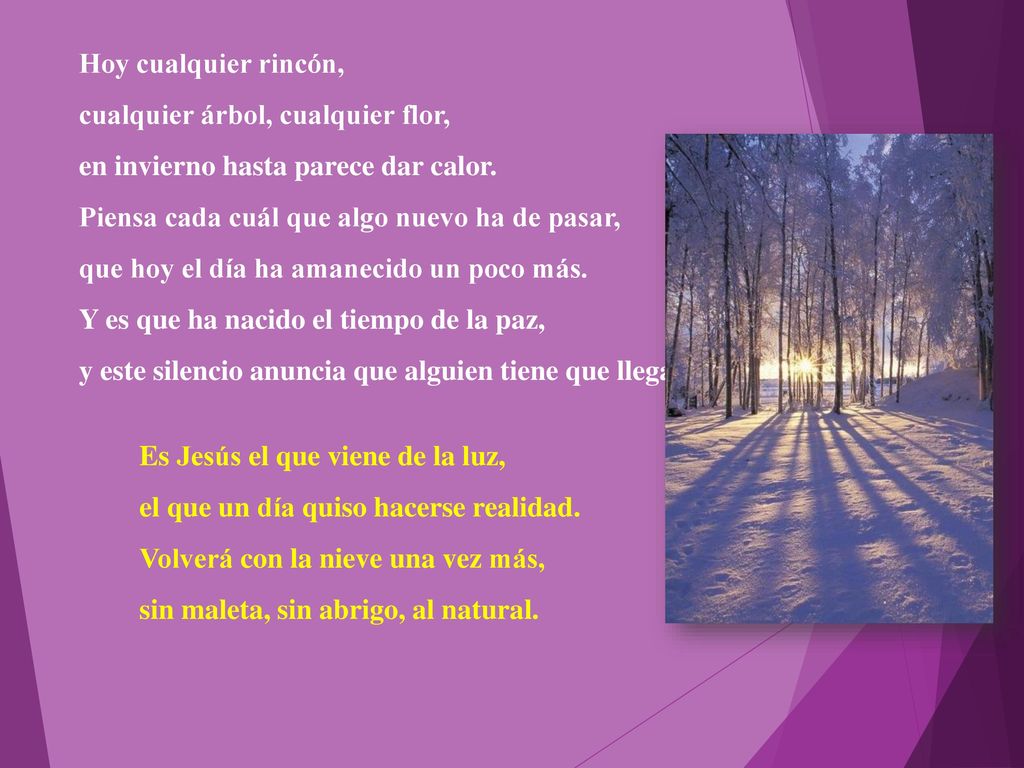 Hoy cualquier rincón, cualquier árbol, cualquier flor, en invierno hasta parece dar calor. Piensa cada cuál que algo nuevo ha de pasar,